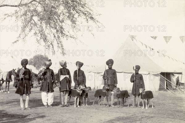 Falconers and coursers at Coronation Durbar, 1903. Indian falconers and coursers line up for a portrait with their animals at Edward VII's Coronation Durbar. Delhi, India, circa 1 January 1903. Delhi, Delhi, India, Southern Asia, Asia.