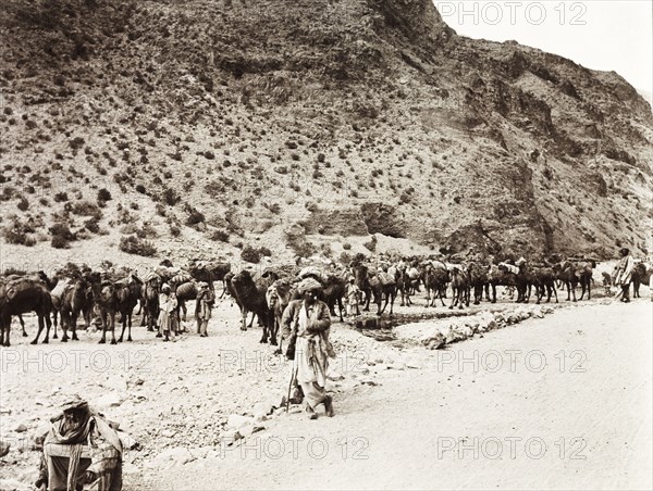 Caravan of camels on Khyber Pass. A caravan of camels travel along the Khyber Pass. An original caption comments that 'many hundreds of camels (and) donkeys pass in one long procession twice a week under guard of Afridi soldiers'. North West Frontier Province, India (Pakistan), February 1903., North West Frontier Province, Pakistan, Southern Asia, Asia.