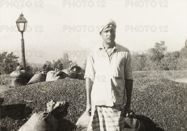 Manager of a coffee plantation. The manager of a coffee plantation stands posing beside a large pile of coffee beans that have been laid out in the sun to dry. Mysore State (Karnataka), India, 1937., Karnataka, India, Southern Asia, Asia.