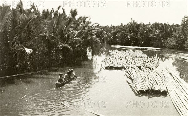 Palm oil plantation, Indonesia. A canoe travels downriver near a palm oil plantation, past bundles of floating palm trunks awaiting transportation to a nearby factory. Makassar, Celebes (Sulawesi), Indonesia, 1940. Makassar, Sulawesi, Indonesia, South East Asia, Asia.