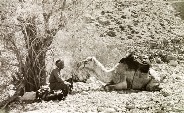 Rest stop in Al-Masfara. An Arab man sits opposite his kneeling camel, taking the weight off his feet during a journey through Al-Masfara, a mountainous region to the west of the Dead Sea. British Mandate of Palestine (West Bank, Middle East), 2-9 April 1941., West Bank, West Bank (Palestine), Middle East, Asia.
