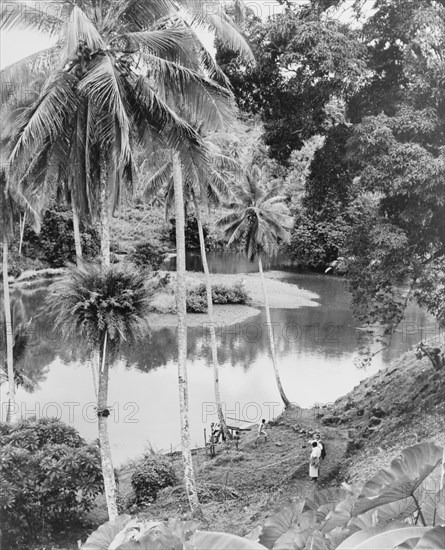 A river jetty on Vanua Levu. A makeshift jetty forms the only access to the village of Daria on the banks of a wide jungle river. Vanua Levu, Fiji, 1965., Vanua Levu, Fiji, Pacific Ocean, Oceania.