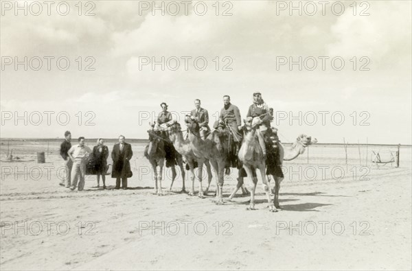 Riding camels in a desert compound. Three Europeans and their Arab guide ride camels in a desert compound, watched by a group of friends. An original caption identifies two of the men (centre) as 'Kisselov' and 'Oxford'. Gevolut, British Mandate of Palestine (Israel), 23 February 1944. Gevolut, South (Israel), Israel, Middle East, Asia.
