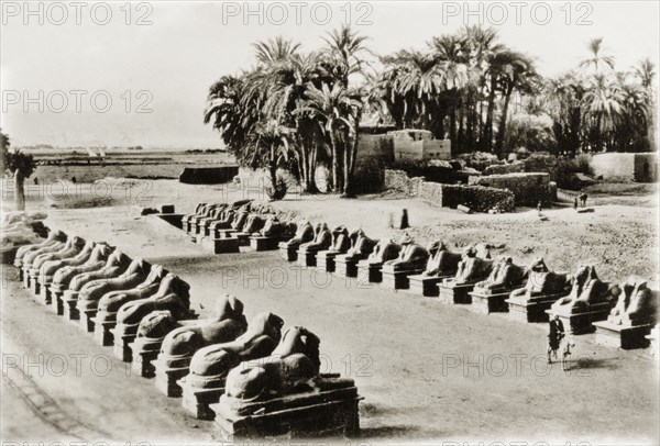 Ram-headed sphinxes at Karnak. An avenue of ram-headed sphinxes guard the entrance to the Karnak Templex complex. Karnak, Egypt, February 1945., Qina, Egypt, Northern Africa, Africa.