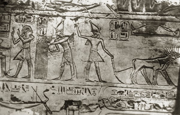 Relief carving on an Ancient Egyptian tomb. Close-up shot of a relief carving on an Ancient Egyptian tomb, possibly the Tomb of Nakht, a scribe of the 18th Dynasty. According to an original caption, the scene depicts Ramesses III ploughing in the mythical fields of Ialu. Probably Sheikh Abd el-Qurna near Luxor, Egypt, February 1945. Luxor, Qina, Egypt, Northern Africa, Africa.