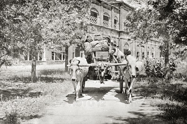 Ox cart laden with luggage. A pair of yoked oxen pull a cart loaded with camp kit leaving the Police Training School. Moradabad, United Provinces (Uttar Pradesh), India, February 1934. Delhi, Delhi, India, Southern Asia, Asia.