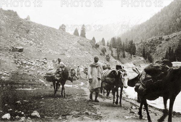 Mountain guides in Pahalgam Valley. A group of mountain guides lead their horses along a rocky path in the Pahalgam Valley, on their way to an overnight camp before setting off to climb Sheshnag Mountain. Jammu and Kashmir, India, 1934., Jammu and Kashmir, India, Southern Asia, Asia.