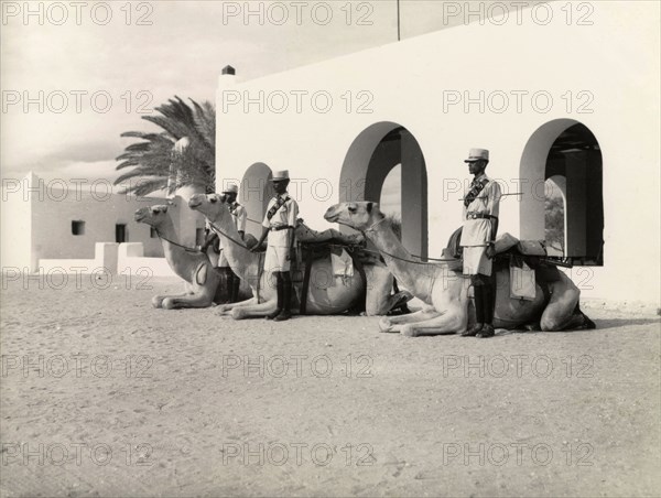 Raqub camel section of the Kenya Police. Three uniformed officers of the mounted Raqub camel section of the Kenya Police stand to attention beside their kneeling camels. Wajir, Northern Frontier District (North Eastern Province), Kenya, circa 1959. Wajir, North East (Kenya), Kenya, Eastern Africa, Africa.