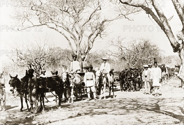 Travelling with a train of mules, Kenya. A party of Arab men wearing turbans and fezes lead a train of mule-drawn carts along a country road. They are accompnaied by two European men who wear solaptopi hats. Mtito Andei, Kenya, 1896. Mtito Andei, East (Kenya), Kenya, Eastern Africa, Africa.