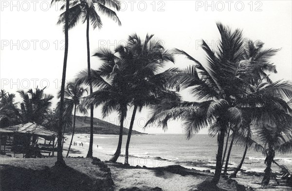 Palm trees on Anjuna beach. Palm trees on Anjuna beach. Anjuna, Goa, India, circa 1978. Anjuna, Goa, India, Southern Asia, Asia.