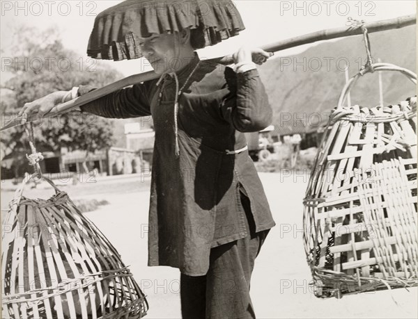 Transporting chickens in Hong Kong. A Chinese woman carries chickens in baskets hung from a pole across her shoulders. She wears a wide-brimmed hat fringed with black cloth to keep the sun out of her eyes. Kam Tin, New Territories, Hong Kong, China, 1963. Kam Tin, Hong Kong, China, People's Republic of, Eastern Asia, Asia.