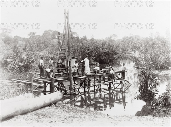 Driving piles into the water. On a wooden scaffolding structure built around a pile driver next to a shore, at least nine people, some of which are men, some younger boys are standing or climbing. On the bank lie two tree trunks prepared as piles with iron hoops around the tops to protect the stuck surface from splitting. Nigeria. 1911. Nigeria, Western Africa, Africa.