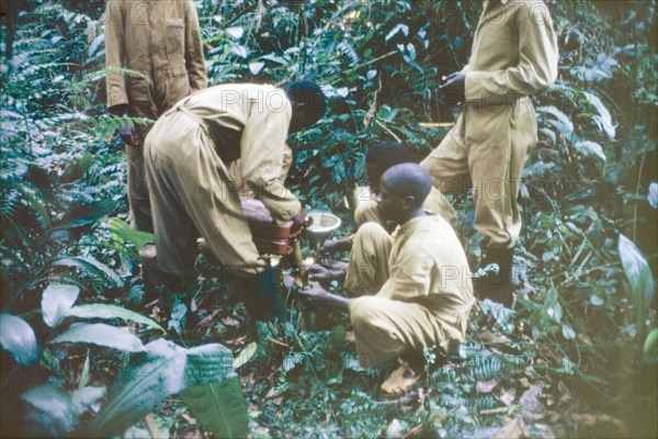 Timber Stand Improvement in Kalinzu Forest. Ugandan Forest Rangers fill portable sprayers with herbicide as they prepare to carry out Timber Stand Improvement (TSI) in Kalinzu Forest: a process designed to cull unwanted, non-timber trees from plantations. Ankole, South West Uganda, September 1963., West (Uganda), Uganda, Eastern Africa, Africa.