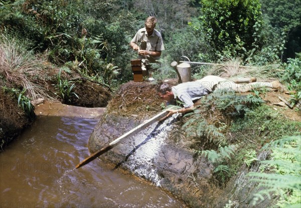 Liming and testing the water. Conservator Alec Watt lies flat on the banks of a forest nursery reservoir, stirring lime into the water to neutralise its acidity. Behind him, District Forest Officer James Lang Brown takes samples to test the results. Lang Brown comments: "This worked, but of course the result was temporary. Fortunately Alkathene piping became available and we were able to replumb (the irrigation pipes)". Bugamba, South West Uganda, September 1963., West (Uganda), Uganda, Eastern Africa, Africa.