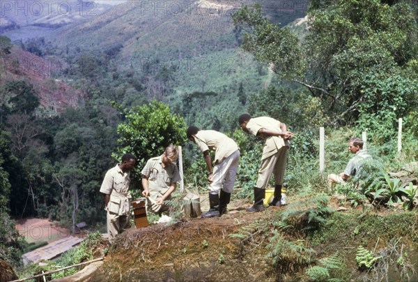Testing the water at a forest nursery. Dressed in khaki uniforms and wellington boots, District Forest Officer James Lang Brown (second from left), Conservator Alec Watt (right) and Forest Ranger Nyakarwana (left) test the acidity of the water supply at a forest nursery. A related caption comments: "The water (here)... was so acid (pH3.5) that the piping corroded". Bugamba, Ankole, South West Uganda, September 1963., West (Uganda), Uganda, Eastern Africa, Africa.