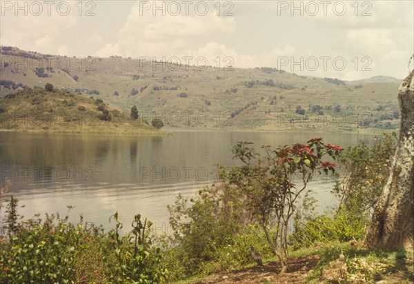 Lake Bunyonyi from Sharp's Island. View from Sharp's Island of Lake Bunyonyi near the Uganda-Rwanda border. According to a related caption, the island was "home for many years to a family of (Church Mission Society) missionaries. Kigezi, South West Uganda, September 1963., West (Uganda), Uganda, Eastern Africa, Africa.
