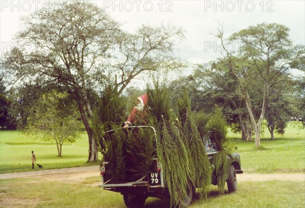 Father Christmas at Mbarara . A jeep camouflaged with conifers is used by Father Christmas during Christmas celebrations at Mbarara in Ankole. Mbarara, South West Uganda, December 1963., West (Uganda), Uganda, Eastern Africa, Africa.