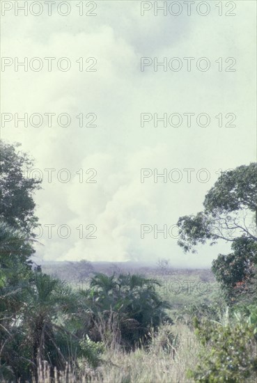 Swamp fire on the Kampala-Masaka Road. A dry season fire in a papyrus swamp causes clouds of smoke to billow up near the Kampala-Masaka Road. West Uganda, August 1963., West (Uganda), Uganda, Eastern Africa, Africa.
