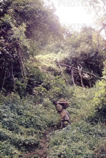 Lower slopes of Mount Elgon. View of a steep rise on the lower slopes of Mount Elgon, taken during an expedition to erect an aluminium rondavel on the mountain for use by the Uganda Mountain Club. Halfway up is a ramshackle ladder, built from branches up a slippery rock face. East Uganda, 1962., East (Uganda), Uganda, Eastern Africa, Africa.