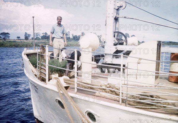 Loading eucalyptus at Port Bell. District Forest Officer James Lang Brown (left) supervises the loading of eucalyptus plants onto 'Alestes', a government launch bound for the Buvuma islands of Lake Victoria. Near Jinja, Uganda, 1962. Kampala, Central (Uganda), Uganda, Eastern Africa, Africa.