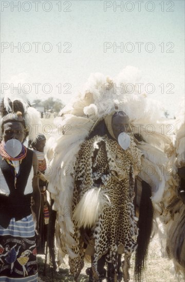 Regalia at the Nabilatuk County Show. Portrait of a Pian chief dancer, dressed in full ceremonial regalia at the Nabilatuk County Show. Swathed in spotted cheetah skins, his elaborate costume includes a floor-length headdress made from ostrich feathers and a leaf-shaped aluminium nose decoration. Nabilatuk, North East Uganda, October 1959., East (Uganda), Uganda, Eastern Africa, Africa.