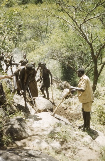 Building the Pirre Road'. Forest Ranger Langoya (right) helps labourers to remove boulders with pickaxes at the construction site of the Pirre Road. A related caption comments that the Forest Department built such roads to provide access "to remote areas in the north of Karamoja for administration and to patrol (their) hill forests". Dodoth, Karamoja, North Uganda, September 1959., North (Uganda), Uganda, Eastern Africa, Africa.