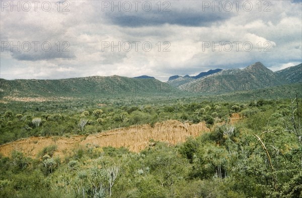 Erosion in Karasuk . Severe erosion caused by rare rainfall in Karasuk on the Kenya-Uganda border. A related caption comments: "If this soil were ever cultivated it would wash into (the Kenyan district of) Turkana". Kenya, May 1959., East (Uganda), Uganda, Eastern Africa, Africa.