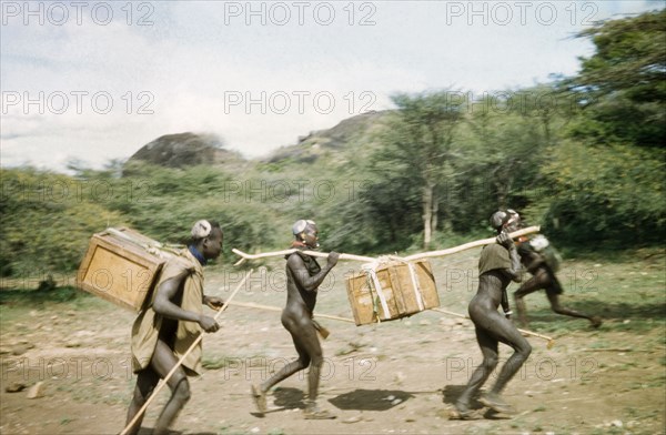 Suk porters hurry to leave camp. Suk (Pokot) porters working with a British forestry survey team hurry to leave camp south of Pcholio Peak in the Karasuk hills. Kenya, May 1959., East (Uganda), Uganda, Eastern Africa, Africa.