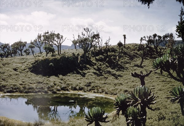 Pool on Mount Elgon. A pool of water in the crater of Mount Elgon. East Uganda, 26 December 1955., East (Uganda), Uganda, Eastern Africa, Africa.
