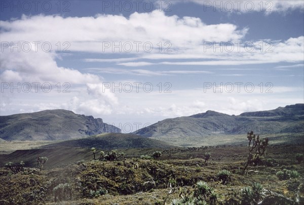 Inside the crater of Mount Elgon. View from inside the crater of Mount Elgon. East Uganda, 26 December 1955., East (Uganda), Uganda, Eastern Africa, Africa.