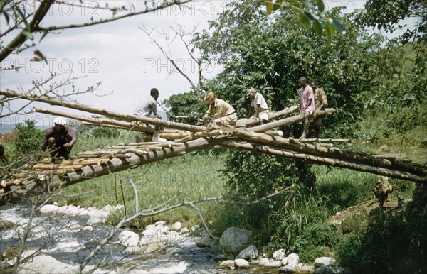 Bridge-building in Kyarumba. Helped by members of the local community, a British Forestry Officer works on the construction of a new footbridge across a river in Toro. According to an original caption, the bridge was built as part of a community development project supported by the District Forest Office. Kyarumba, West Uganda, 1956., West (Uganda), Uganda, Eastern Africa, Africa.