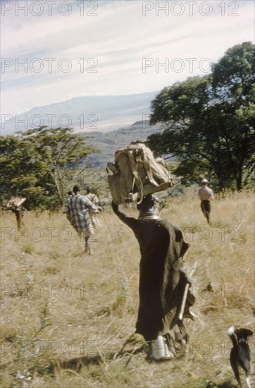 A female porter descends Mount Napak. A female porter carries equipment belonging to a British forestry survey team during a safari to Mount Napak in Karamoja. A related caption comments: "The (male) porters did not carry for long The women (took) over and put the men to shame. This is the only record I know of women working as porters on a mountain". North East Uganda, December 1958., East (Uganda), Uganda, Eastern Africa, Africa.
