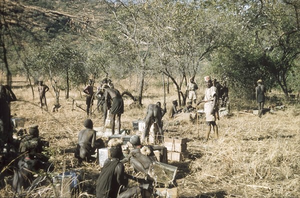 Porters on safari to Mount Napak. Supervised by an askari (soldier), a group of porters ready their loads during a safari to Mount Napak in Karamoja with a British forestry survey team. North East Uganda, December 1958., East (Uganda), Uganda, Eastern Africa, Africa.