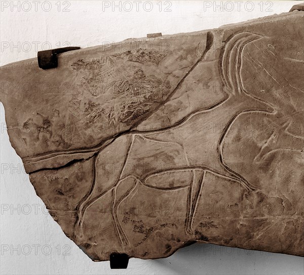 Stone Age rock engraving of a bull, possibly from the Cattle Period (4,000   2,000 BC)