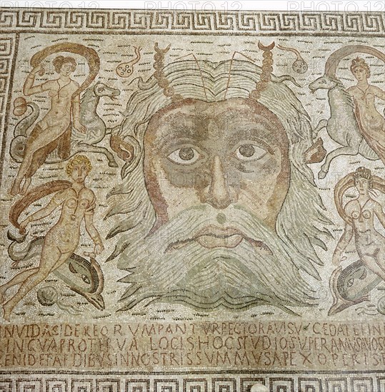 Mosaic of Neptune