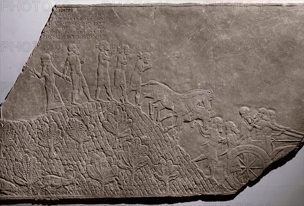 The capture of the king of the Elamites Khumban Khaltash III following the battle at the river Idid