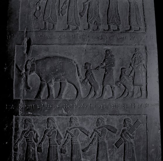 The black obelisk of Shalmaneser III