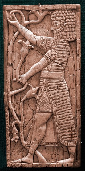 Phoenican ivory plaque depicting part of a griffin