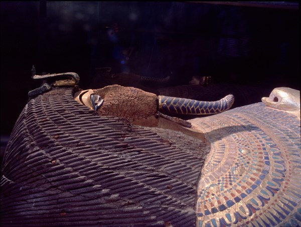 Coffin from the tomb KV55