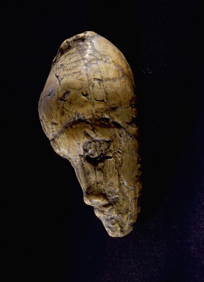 Head of a female figurine