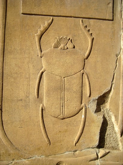 Hieroglyph of a scarab beetle from a temple inscription