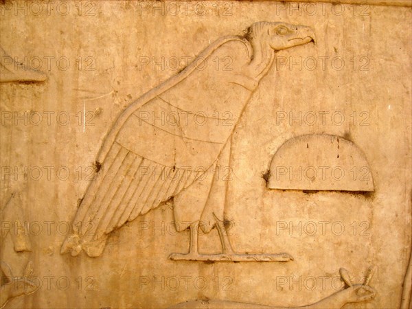 Hieroglyph of a vulture from a temple inscription