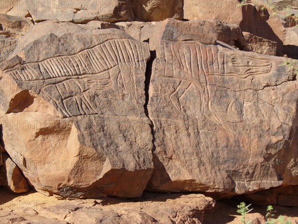 At the beginning of the Holocene the hunter gatherers of the Sahara experienced very different enviromental conditions