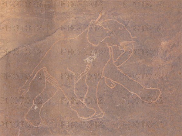 At the beginning of the Holocene the hunter gatherers of the Sahara experienced very different enviromental conditions