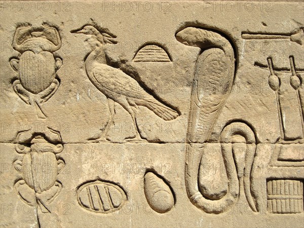 Hieroglyphic relief on the outer wall of the structure which houses the Hall of the Ennead and The Sanctuary