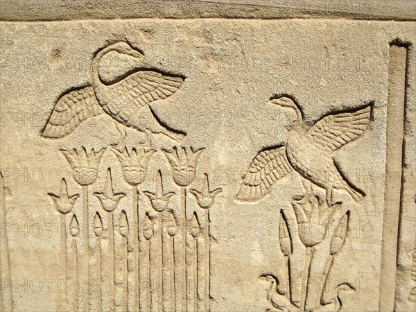 Carved relief on the outer wall of the structure which houses the Hall of the Ennead and The Sanctuary