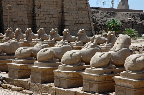 The Processional Way flanked by ram headed sphinxes with statuettes of Ramesses II between their legs