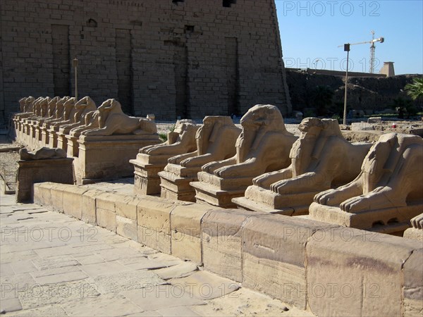 The Processional Way flanked by ram headed sphinxes with statuettes of Ramesses II between their legs