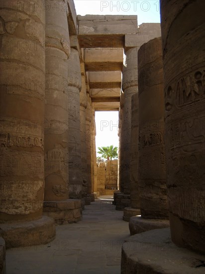 The Great Hypostyle Hall showing the forest of columns each of which is 23m high and 15m circumference