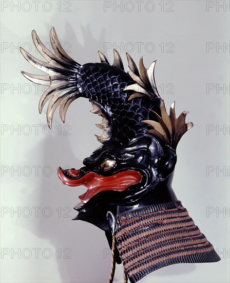 Samurai dolphin helmet